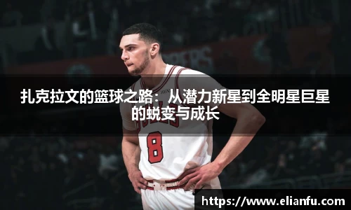 威廉希尔WilliamHill官网