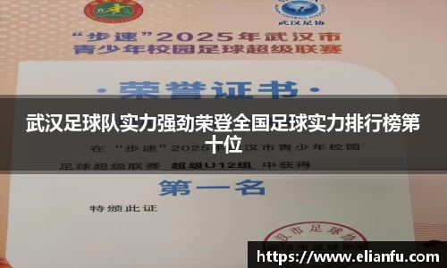 武汉足球队实力强劲荣登全国足球实力排行榜第十位